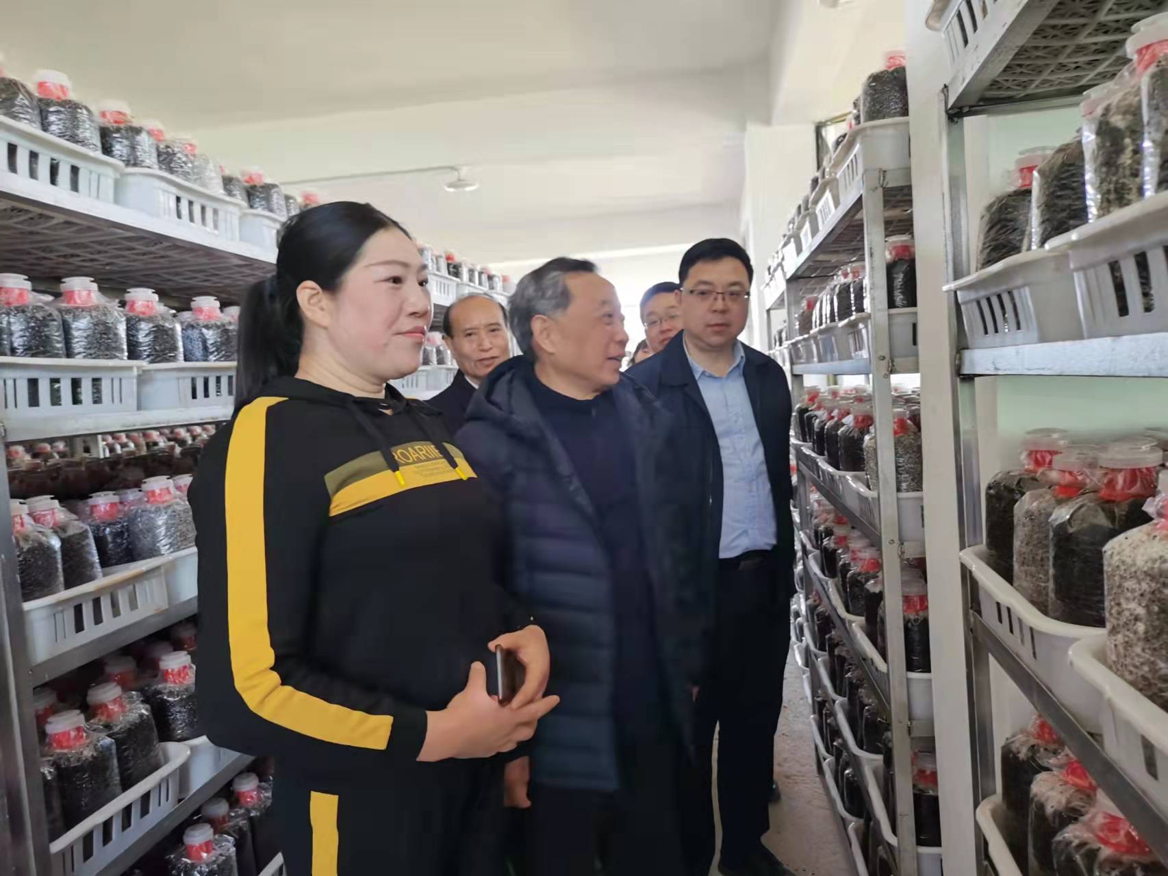 乡村振兴植树造林__振兴助推调研乡村种植林发展