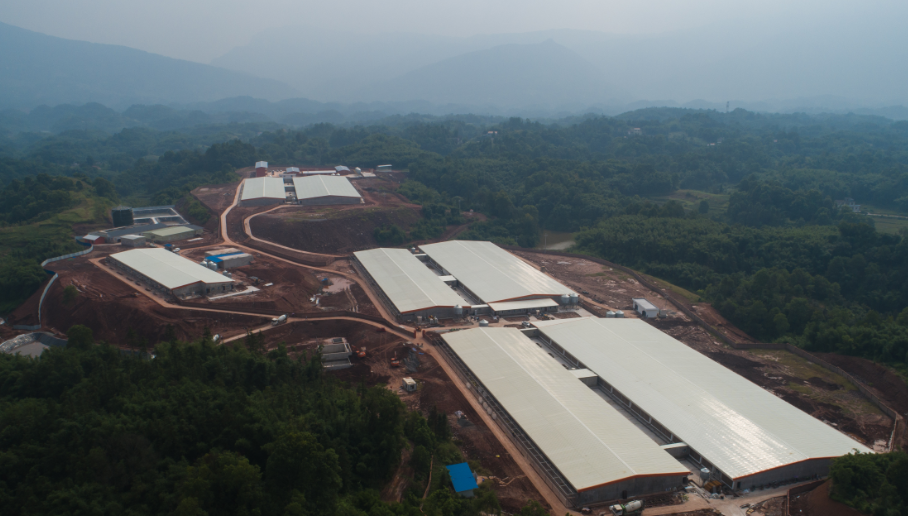 _伍贵富简历_怀集伍剑伟